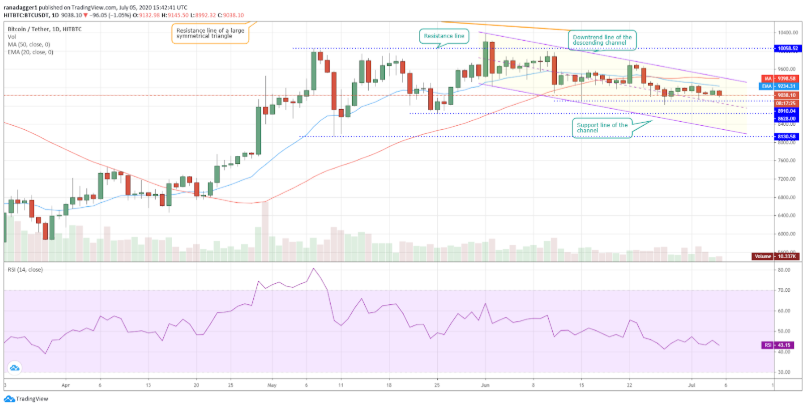 top-5-dog-coin