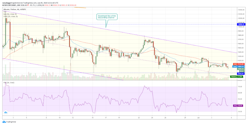 top-5-dog-coin