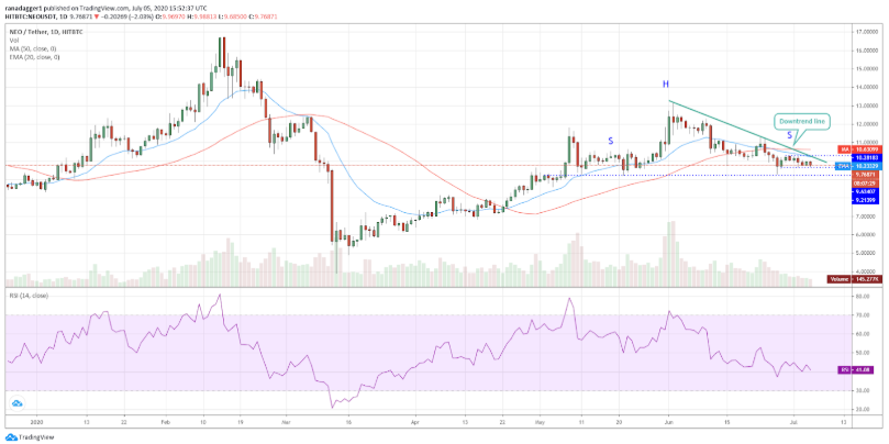 top-5-dog-coin