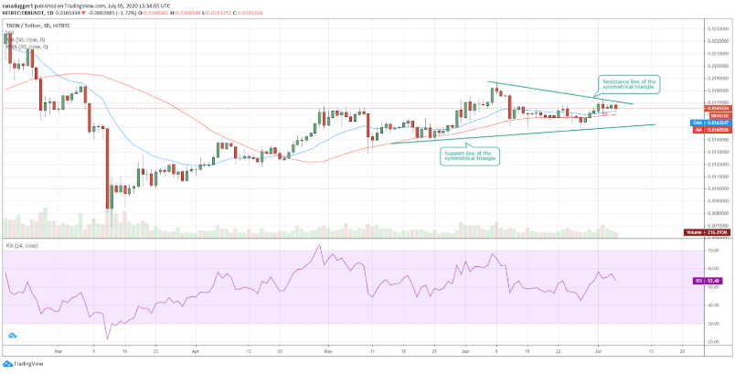 top-5-dog-coin