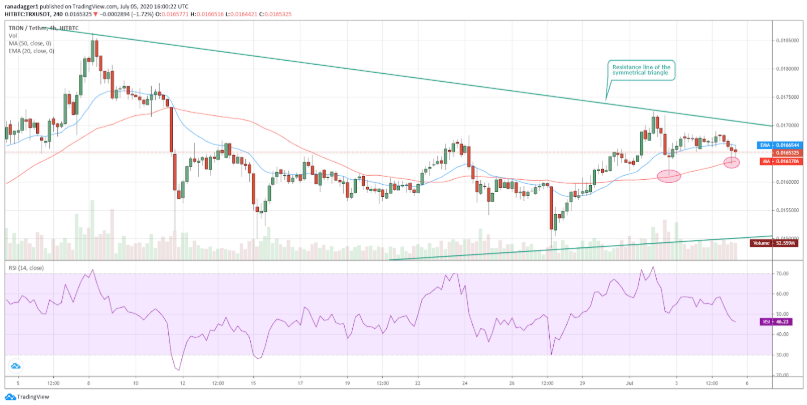 top-5-dog-coin