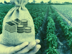 Yield Farming là gì? yield farming