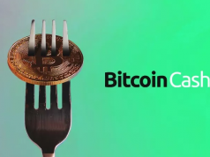 Cộng đồng Bitcoin Cash chia rẽ nội bộ, mạng BCH đang đứng trước bờ vực của một đợt Fork mới Bitcoin Cash đang đứng trước bờ vực của một đợt Fork mới