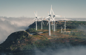 ADA xuất hiện tín hiệu yếu kém ngắn hạn sau khi tăng 30% ADA-yeu-kem