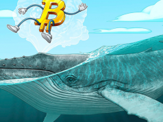 Hãy đọc kỹ phần này trước khi mua dip Bitcoin Bitcoin