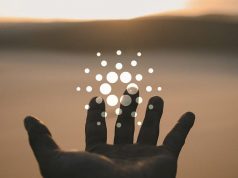 Tương lai của Cardano Foundation nằm trong tay của cộng đồng cardano