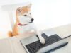 DogeLabs.IO bắt tay với AppSwarm Corp thành lập nhóm phát triển Dogecoin toàn cầu DevOps Dogecoin
