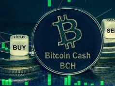 BCH tăng 30% trong tuần, HNT đang hướng tới $28 BCH