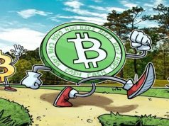 Vốn hóa thị trường BCH giảm hơn 1,5 tỷ đô la trong khi giá mất 26% vào tháng 5 BCH