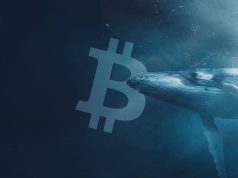Tin vắn Crypto 20/08: Cá voi di chuyển hàng nghìn Bitcoin khi thị trường lao dốc cùng tin tức Ripple, Tether, Binance, Socios, Hodlnaut, Tribe DAO Bitcoin