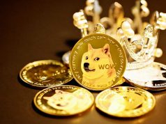 Các nhà đầu tư DOGE nên xem xét những dấu hiệu này trước khi thoát vị thế