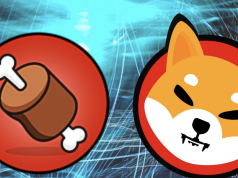 ShibaSwap là gì? ShibaSwap