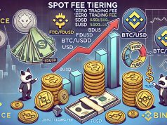 Sự thống trị giao dịch của FDUSD vẫn tiếp diễn mặc dù Binance đã kết thúc chương trình khuyến mãi