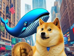 Cá voi là nguyên nhân gây biến động trên thị trường DOGE và SHIB? DOGE