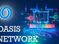 Oasis Network (ROSE) là gì? Nền tảng blockchain có khả năng mở rộng và bảo vệ quyền riêng tư Oasis Network (ROSE) là gì?
