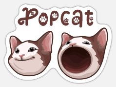 Popcat là gì? Meme coin chủ đề mèo đầu tiên trên blockchain Solana Popcat là gì?