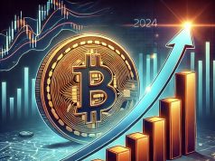 Độ thống trị của Bitcoin tăng ổn định năm 2024 dù thị trường biến động