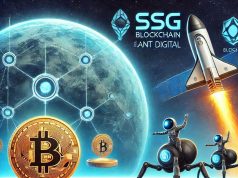 Sui hợp tác với Ant Digital và Zan để mã hóa tài sản ESG