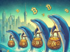 Cung cầu Bitcoin thay đổi khi nhà đầu tư lâu dài bán ra, ví “Cá heo” mua vào