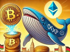 Cá voi mua dip Bitcoin và XRP trong bối cảnh chu kỳ tăng giá đang diễn ra