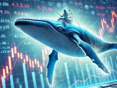 Cá voi rót vốn vào những altcoin tiềm năng trong tuần 2 tháng 12/2024 ca-voi-mua-altcoin