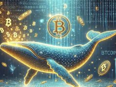 Cá voi Bitcoin mua vào 200 triệu USD sau khi bán hơn 11.400 BTC